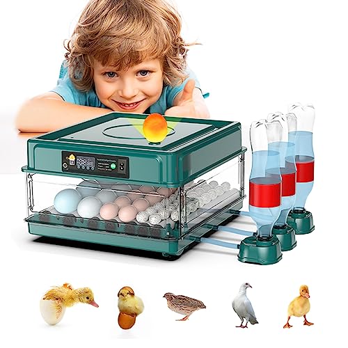 Intelligent Poultry Incubator - 38 Eggs, Automatic Turner & Temperature Control for Hatching Chicken, Quail, Bird & Duck Eggs