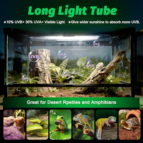 UVB Light for Reptiles Bearded Dragon, T8 UVB Reptile Light Fixture HO UVB Bulb Lighting Combo Kit 10.0 18W UVA UVB Reptile Light Bulb Terrarium Lamp Tube Bar for Snake Gecko Turtle Lizard, 24 Inch - size: T8-24Inch