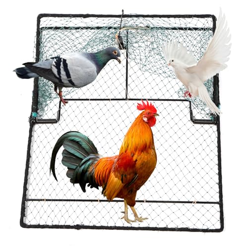 Humane Pigeon Trap,Bird Trap for Quail,Turkey(19.7x23.6 inch) | Net Traps,Metal-Frame Mesh Trap