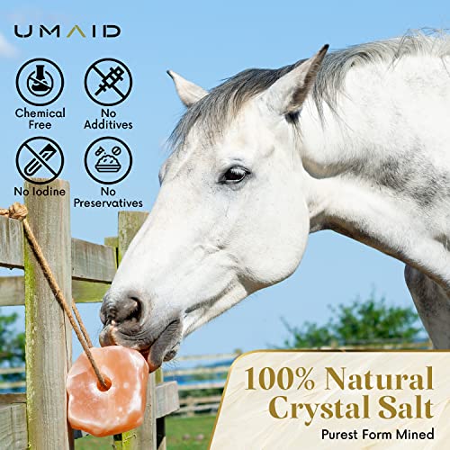 UMAID Himalayan Salt Lick 6 lbs on Rope for Horse, Deer, Goat & Livestock Animals, Salt Lick Deer, Salt Lick for Horses, Salt Block for Horses, Himalayan Salt Block 2 Pack - size: 6 Pound (Pack of 2)