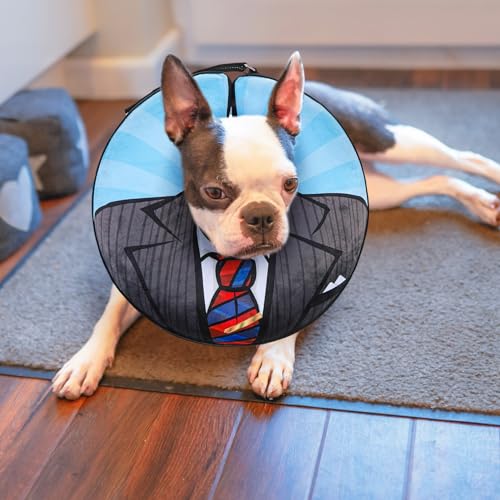 BEAUTYZOO Dog Cone Collar Alternative After Surgery,Pet Neck Donut E‑Collar - color: Black Suit, size: S(Neck:11"-13")