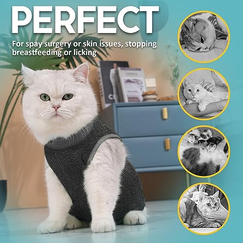 Avont Cat Recovery Suit - Kitten Onesie for Cats After Surgery | Stop Licking, Protects Stitches, M: Neck 9.5"-11"/Chest 13.7"-15.4"/Back 10.4", Soft & Breathable, Hook & Loop, Darkgrey - color: Darkgrey, size: Medium