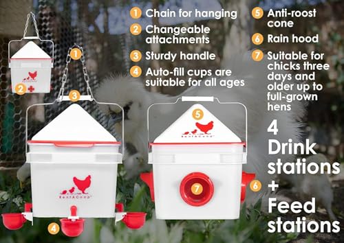 RentACoop Chick2Chicken 10lb Feeder & 2 Gal Waterer Set - 2025 Version - size: Without Stand