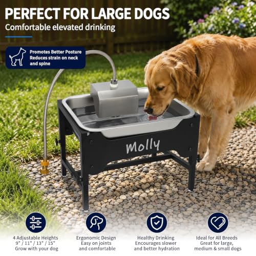 BWOGUE 3 Gal Automatic Dog Water Dispenser, Elevated Outdoor Bowl for Dogs | Automatic Water Dispenser for Dogs, Stainless Steel Pet Waterer, 9/11/13/15 in Stand, Float Valve, Big Dogs Pets Livestock