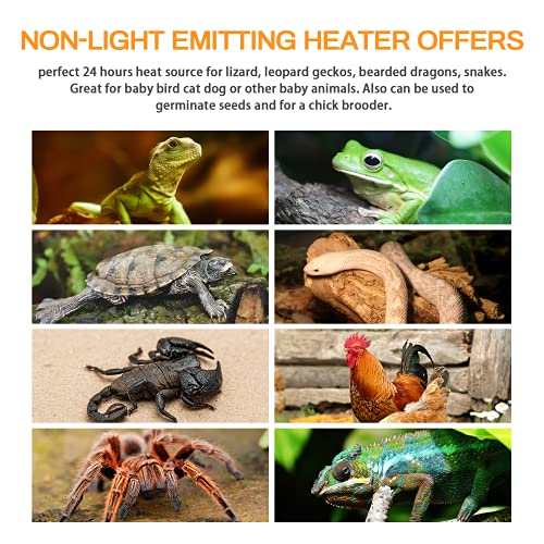 Simple Deluxe Ceramic Heat Emitter 100W 4-Pack Reptile Heat Lamp Bulb No Light Emitting Brooder Coop Heater for Amphibian Pet Snake Turtle & Incubating Chicken, No Harm, Color White - size: 4 Pack, style: White