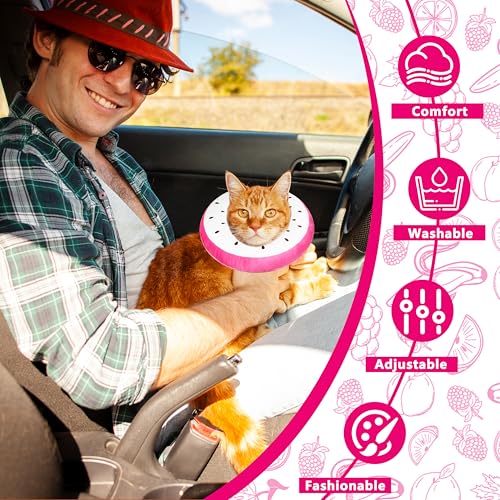 Cat Cone Collar Soft, Cat Recovery Cone (Dragonfruit, M) | Stop Licking, Cute Kitten Donut Collar After Surgery, Elizabethan Collars for Kittens, Lightweight Cats Neck Cones - color: Dragonfruit, size: Medium