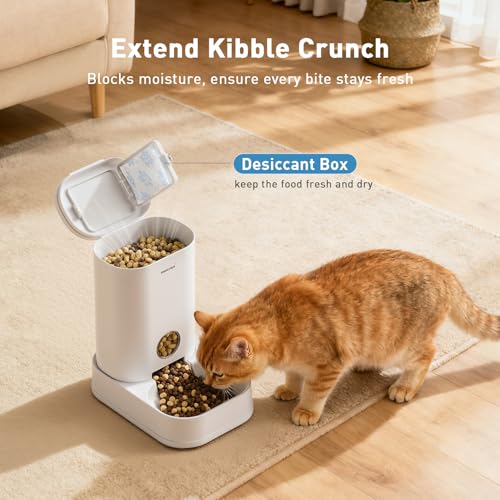 PAWGETHER® 2 Pack Gravity Cat Feeder and Water Dispenser No-Electricity 1 Gallon/3.5L Automatic Cat Feeder and Waterer Dog Water Bowl Dispenser Pet Food Dispenser Puppy Kitten Rabbits - color: Feeder + Waterer (2-Pack)