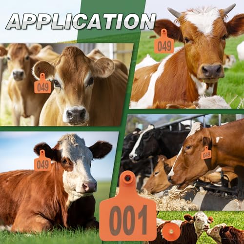 100PCS Cattle Ear Tags Numbered 001-100,Plastic Livestock Ear Tags with Animal Identification Tags for Cattle Cows Hogs Pigs Sheep Goats (Orange) - color: ORANGE