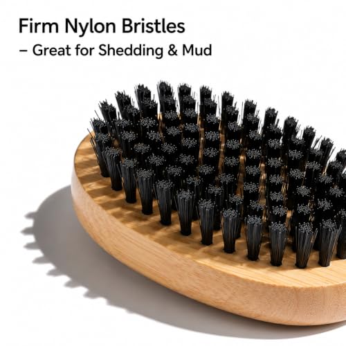 Goat Grooming Brushes, Soft Bristle and Firm Nylon Set, 2 Pack | Wooden Body Brushes, For Goats, Sheep, Calves, Horses, Dogs And Pigs, Face, Leg And Coat Grooming