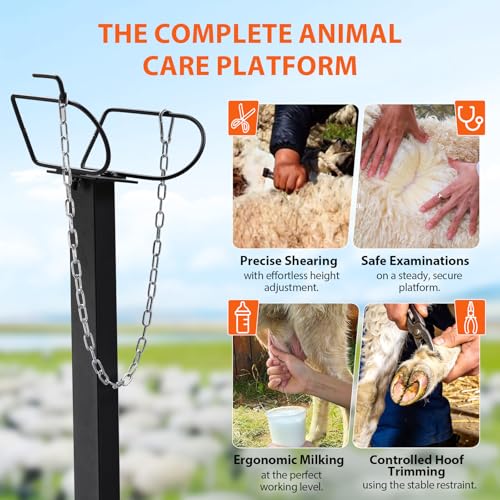GTPLAYER Goat Milking Stand with Hand Crank,Wheels – 48"x23" Adjustable Headpiece & Height, for Grooming, Milking, Hoof Trimming, Heavy Duty Metal Sheep/Goat Stand, 500 LB Capacity Black