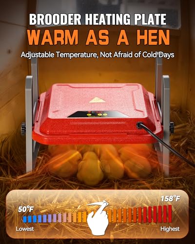 Chicken Brooder Plate, Smart Chick Heat Brooder Adjustable Temperature with LCD Display, 50W Chick Heater with 3-Sided Panels, 10"x10" Coop Accessory for Chicken Coop, Ducklings