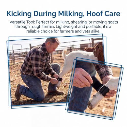 Adjustable Livestock Hobbles for Goats & Calf, Black Nylon Milking & Restraint Kit，Secure Binding Tool for Nigerian Dwarf, Nubian, Mini Goats Prevents Pawing & Kicking During Milking Hoof Care