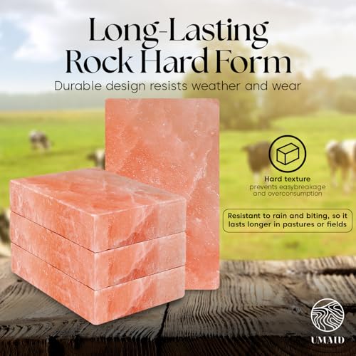 UMAID Himalayan Salt Block 4-Pack, 8x4x2 Inches – Natural Pink Mineral Block for Horses, Cows, Goats & Sheep – Long-Lasting Livestock Salt Supplement - size: 5 Pound (Pack of 4)
