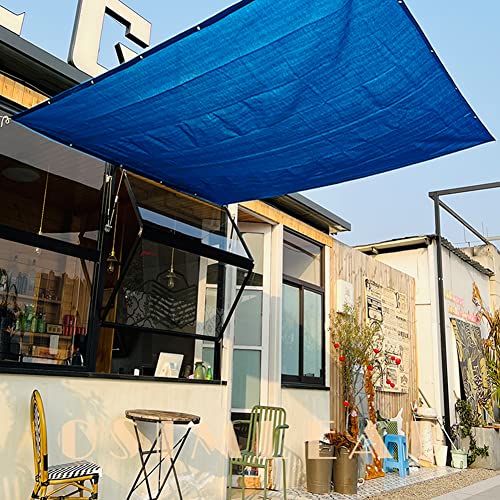 90% Plant Shade Cloth 2 Ft × 3.3 Ft Greenhouse Shade Cloth for Protect Vegetable Plants Fruits Flowers Crops - Blue - color: Blue, size: 2 FT x 3.3 FT