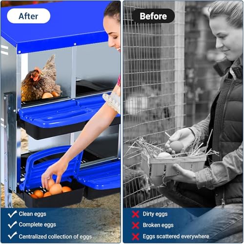 Chicken Nesting Box,10 Hole 2 Layer Hen Nest Boxes, Roll-Away Egg Collection System with Ventilation Holes，Rustproof Plastic Tray & Keyhole Mounting, Chicken Laying Box - color: Blue, size: 10 holes