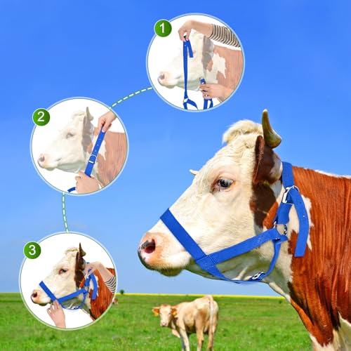M METERXITY 2-Pack Adjustable Cattle Cow Calf Halter, 15.74"-19.68" Nylon Livestock Cow Halter for Miniature Horse/Donkey/Goat/Cattle [Blue]