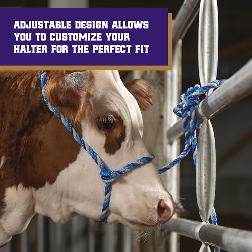 Weaver Livestock Braided Poly Rope Cattle Halter, Adjustable Cow Calf Halter, Livestock Handling Equipment for Showing, Dark Blue/Hurricane Blue/Gray - color: Dark Blue/Turquoise/Gray, size: One Size