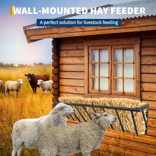 Wall Mounted Hay Feeder & Blanket Holder, 63" Heavy Duty Steel Hay Rack for Horse Stall, Goat Shed, Sheep Barn, 67 Gallons Large Capacity Feeder Organizer for Feeding and Storage | for Horse Stall, Goat Shed, Sheep Barn, 67 Gallons Large Capacity Feeder O