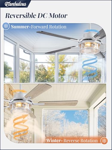 Fanbulous 52 Inch Farmhouse Ceiling Fan with Light and Remote App, Silver | Quiet DC Motor, 6-Speed Reversible, White & Wood Finish Blades, Downrod Mount for Bedroom & Living Room - color: Brushed Nickel