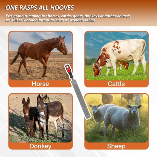 T12 Carbon Steel Horse Hoof Rasp - 8", 14" Professional Farrier Tool with Non-Slip Rubber Handle for Horse/Goat/Cow/Donkey/Animal Hooves (14 inch) - color: 14 inch