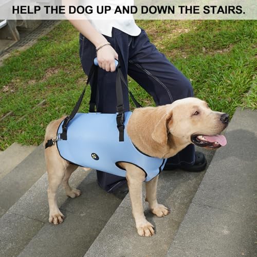 Coodeo Dog Lift Harness, Pet Support & Rehabilitation Sling Lift Adjustable Padded Breathable Straps for Old, Disabled, Joint Injuries, Arthritis, Loss of Stability Dogs Walk (Blue, 2XL) - color: Blue, size: XXLarge