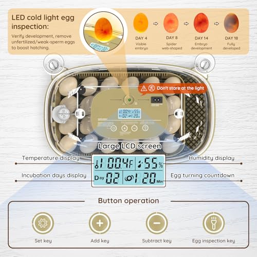 24 Egg Incubator for Hatching Eggs with Temperature and Humidity Control, LED Candling & Auto Turning for Chicken Duck Quail Birds, Ideal for Home Farm, Classroom, Beginners - color: Green