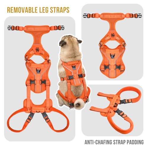 OneTigris Lift Harness for Small Dogs XS, Sling Carrier to Help Lift and Walk, Outdoor Full Body Support with Reflective Straps for Back Legs - color: Orange, size: Small