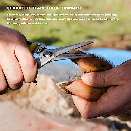 8 Inch Farrier Hoof Trimmer, Sharpener Kit for Goats, Pigs, and Hooved Animals, Professional Hoof Clippers, Rasp, and Trimming Tools, Complete Goat Hoof Care Kit