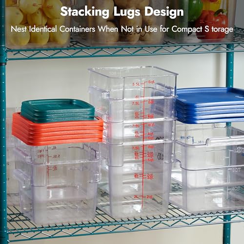 CURTA 8-Pack 22 Qt NSF Clear Polycarbonate Food Storage Containers with Blue Lids - Square, Commercial-Grade, Freezer & Dishwasher Safe, Stackable - color: 22.0 Qt 8-Pack(Blue Lids)