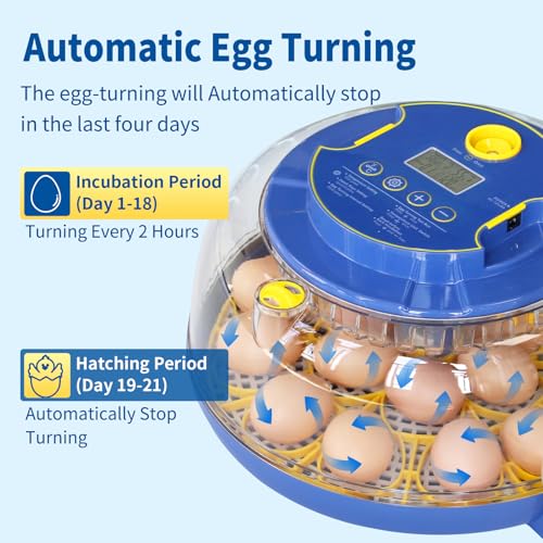 18 Egg Incubator, Automatic Egg Turner with Temperature and Humidity Control,LED Candler,360° Viewing, External Water Bottle Refill, Air Vent, Hatching for Chicken, Duck and Quail