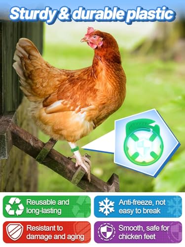 MEWTOGO 17-23mm Adjustable 100 Pcs Chicken Leg Bands | Colorful Easy to Read Numbered Chicken Identification Leg Rings, Durable Poultry Leg Bands for Ducks Goose Turkey Small Birds