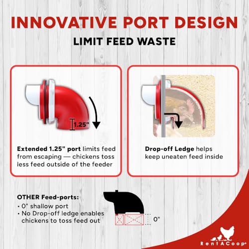 RentACoop 65 lb Large Capacity Chicken Feeder with 6 Ports, Adjustable Legs - size: 65 LB