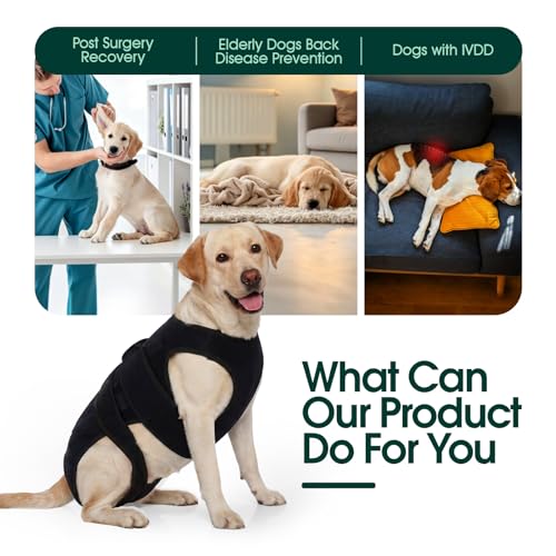 Dog Back Brace for IVDD Recovery, Adjustable Dog Spine Support Harness for Dachshund Corgi French Bulldog Pug, Pain Relief Back Protector for Senior,Post‑Surgery,Long‑Bodied & Overweight Dogs, L - size: Large