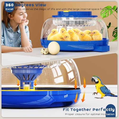 18 Egg Incubator with Automatic Egg Turning and Humidity Control,Water Refill,Egg Candler,Incubators for Hatching Chicken,Ducks,Goose,Quail,Pigeon,Parrot,Turkey for Farm, Home,Science Classroom