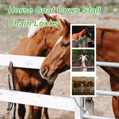 Gate Chain Lock,Gate Latch Chaining Lock for Livestock Horse Goat Cows Stall,Outdoor Fence Gate,Yard, Barn - size: 20INCH 1PCS