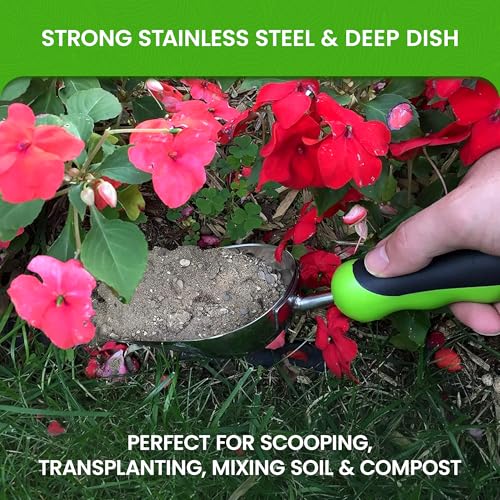 Garden Guru Super Strong Garden Scoop Trowel Shovel Transplanter - Stainless Steel - Rust Resistant - Ergonomic Grip - Perfect Hand Shovel for Gardening Transplanting and Digging (2 Pack) - size: 2 Pack, style: Stainless Steel