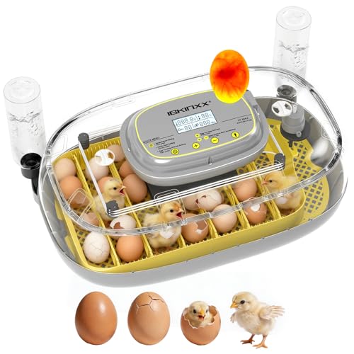 IBKINXX Incubator for Hatching Eggs-24 Egg Capacity, Automatic Egg Turner, Temperature & Humidity Control, 360° Viewing for Chicken, Duck and Quail Eggs (Yellow)