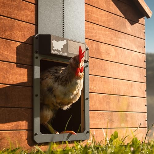 RUN-CHICKEN Door Eternal – Solar Automatic Chicken Coop Door with Built-in Solar Power & Battery Backup, Smart App & Timer Control, Weatherproof Aluminum, Predator-Proof, Easy to Install (Gray)