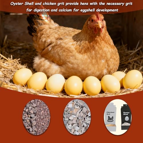 Automatic Chicken Oyster Shell and Grit Feeder, Spill-Proof Hanging Gravity Poultry Feeding Equipment, Metal Chicken Feeder 2Pack (Black & Red) (Black and White)