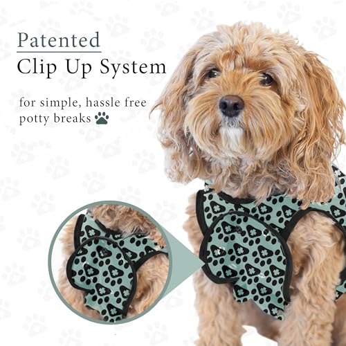 Dog Surgery Recovery Suit, Male Female After Spay Neuter Onesie | Soft Breathable Cotton, Anti-licking Cone Alternative, Protects Stitches & Abdominal Wounds, Patented Clip-up Potty System - color: Harbor Grey, size: Mini