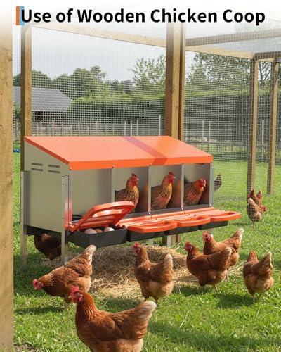 Metal Chicken Nesting Box with Easy-Collect Tray & Lid – 3/4/2x2 Compartment Heavy Duty Roll Away Nesting Boxes for Chickens, Wall Mount or Freestanding, Galvanized Steel Hen Laying Box for Coop