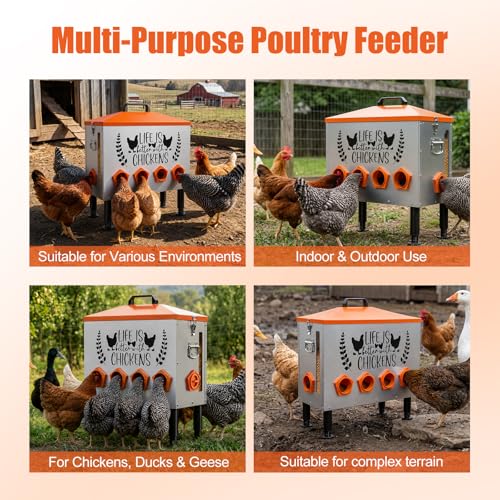 Tgeyd 95LB Large Chicken Feeder for Backyard Flocks, 10-Port and Galvanized | Galvanized steel, anti-roost roof, feed window, adjustable legs. For 10-20 chickens, ducks, geese. Low-maintenance backyard. - size: 95LB