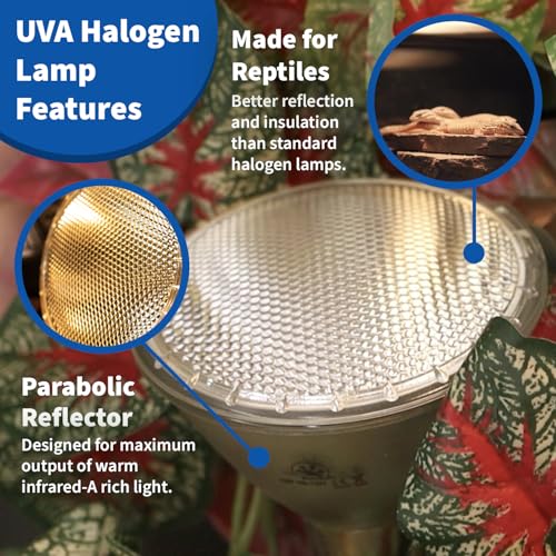 Pangea 75W Halogen Heat Lamp for Reptiles, Warming Infrared UVA Light | Designed for Ceramic Sockets - Reptile Enclosure Heat Lamp for Bearded Dragons, Leopard Geckos, Tortoises, Crested Geckos