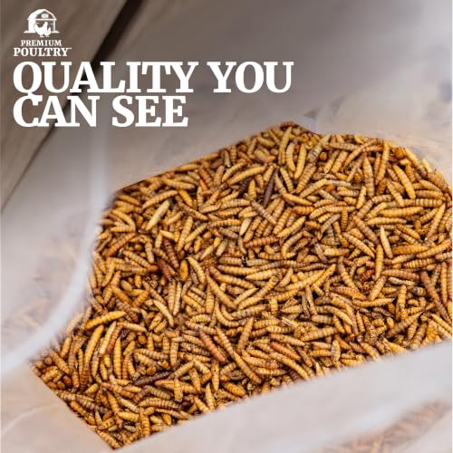 Black Soldier Fly Larvae for Chickens – High Calcium Chicken Treats for Strong Eggshells & Egg Production – Dried BSFL Grubs Poultry Feed for Ducks, Wild Birds & Backyard Flocks, 20lb - size: 20lb, style: Soldier Fly Larvae