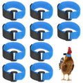 M METERXITY 10-Pack Rooster Collars, 8.07" x 0.79" Adjustable Soft Polyester Anti-Noise Neck Belt for Chickens and Poultry Birds, Noise Control Collar [Blue] - color: Blue