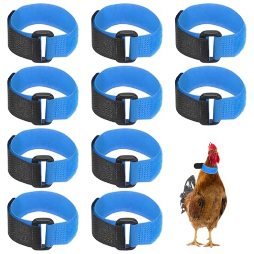 M METERXITY 10-Pack Rooster Collars, 8.07" x 0.79" Adjustable Soft Polyester Anti-Noise Neck Belt for Chickens and Poultry Birds, Noise Control Collar [Blue] - color: Blue