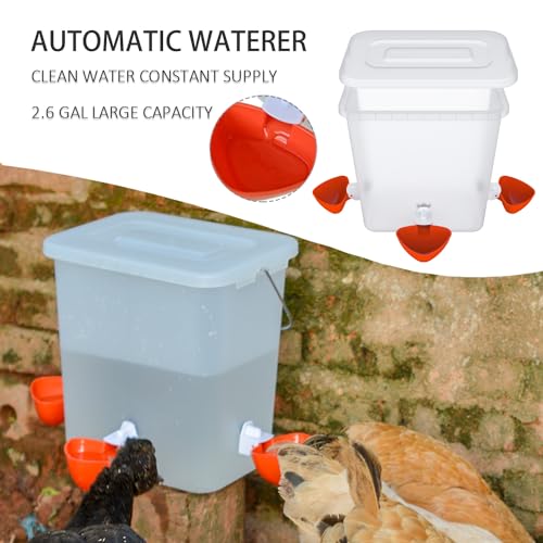 Automatic Chicken Feeder & Waterer Set Chicken Feed Bucket, Large Capactiy | Rain proof, Gravity, No Waste Poultry Feeder, Auto Refill Chicken Water Cup