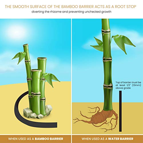 DeepRoot Water & Bamboo Root Barrier, HDPE, 36" x100' 60mil, USA Made | Durable HDPE blocks roots & water intrusion; easy-cut install; joins with sealant tape; 100% recycled, fully recyclable. - size: 36-Inch by 100-Feet Roll, 60mil Thickness, style: 60mi