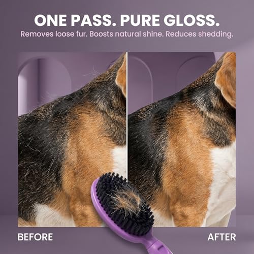Soft Bristle Dog Brush For Short Haired Cats Or Dogs - Firm Bristles To Remove Dust, Dirt, And Loose Fur - Hook And Rubber Handle