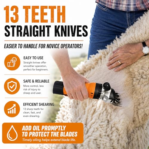 Sheep Shears Replacement Blades fit for Oster/Heiniger/GDJOB/BEETRO/Dragro/TAKEKIT Shearing Wool Clipper for Grooming Goats, Lambs, Llamas, Alpacas, Horse, Stainless Steel 13-Tooth & 9-Tooth, 2 Pack